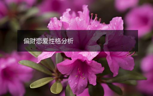 偏財(cái)戀愛(ài)性格分析