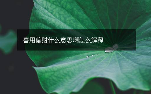 喜用偏財(cái)什么意思啊怎么解釋