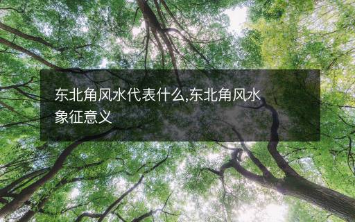 東北角風水代表什么,東北角風水象征意義