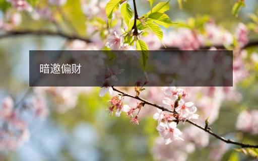 暗邀偏財