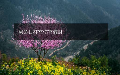 男命日柱宮傷官偏財(cái)