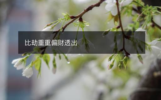 比劫重重偏財(cái)透出