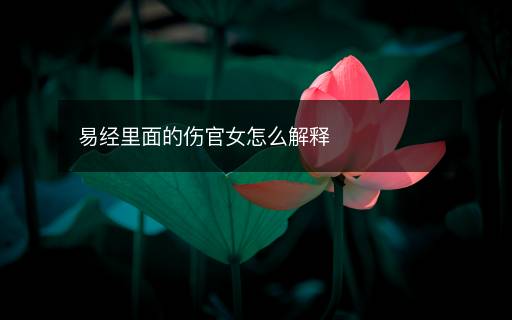 易經(jīng)里面的傷官女怎么解釋