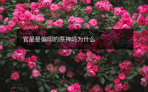 官星是偏印的原神嗎為什么