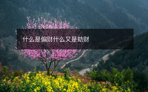 什么是偏財什么又是劫財