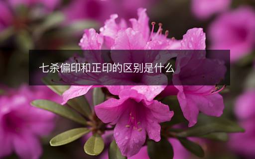 七殺偏印和正印的區(qū)別是什么
