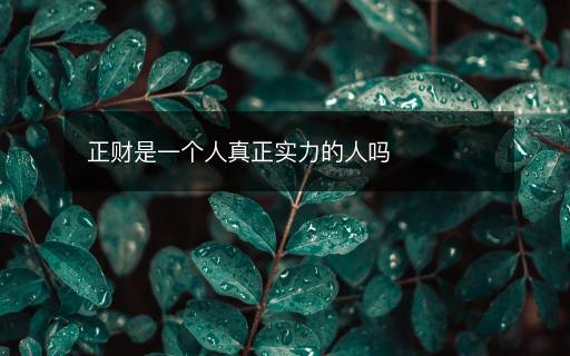 正財(cái)是一個(gè)人真正實(shí)力的人嗎