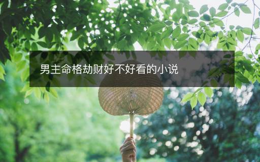男主命格劫財好不好看的小說