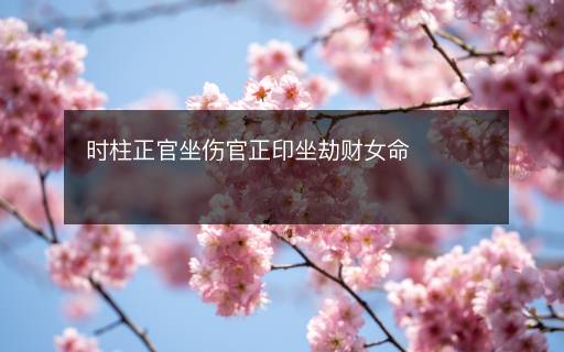 時(shí)柱正官坐傷官正印坐劫財(cái)女命