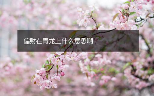 偏財(cái)在青龍上什么意思啊