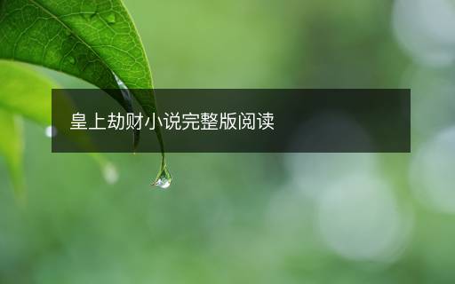 皇上劫財小說完整版閱讀
