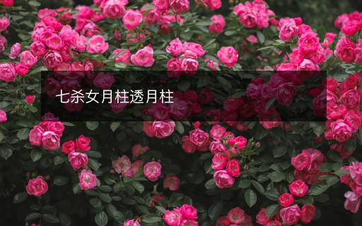 七殺女月柱透月柱