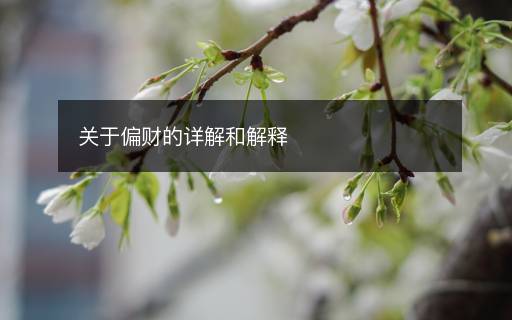 關于偏財的詳解和解釋