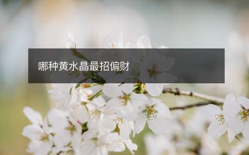 哪種黃水晶最招偏財