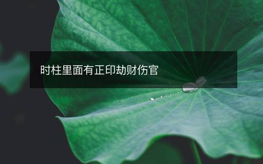 時(shí)柱里面有正印劫財(cái)傷官