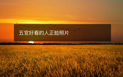 五官好看的人正臉照片