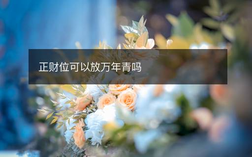 正財(cái)位可以放萬(wàn)年青嗎