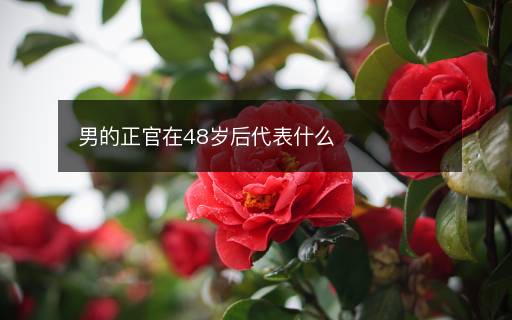 男的正官在48歲后代表什么