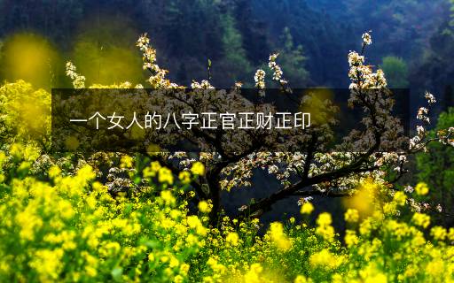一個(gè)女人的八字正官正財(cái)正印