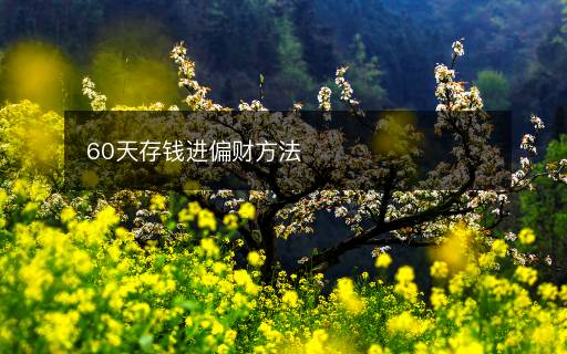 60天存錢進(jìn)偏財(cái)方法