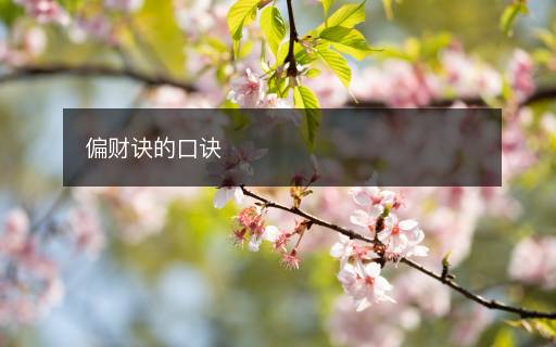 偏財(cái)訣的口訣