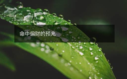 命中偏財?shù)念A(yù)兆