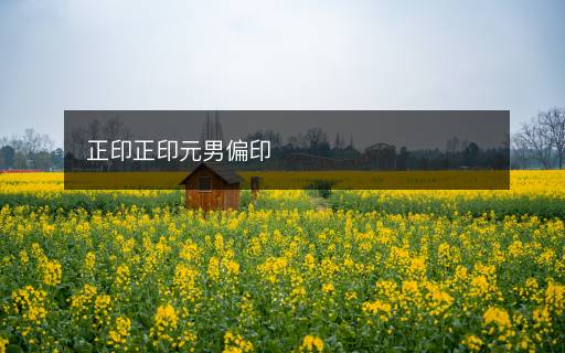 正印正印元男偏印