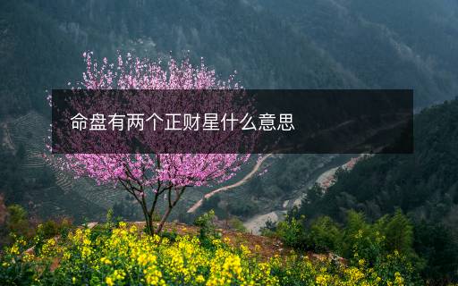 命盤有兩個正財星什么意思