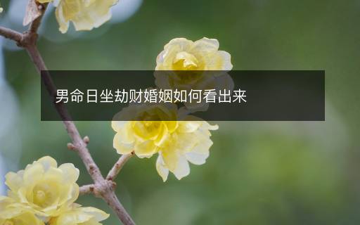 男命日坐劫財(cái)婚姻如何看出來