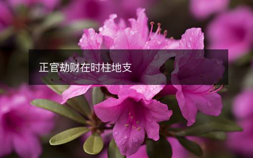 正官劫財在時柱地支