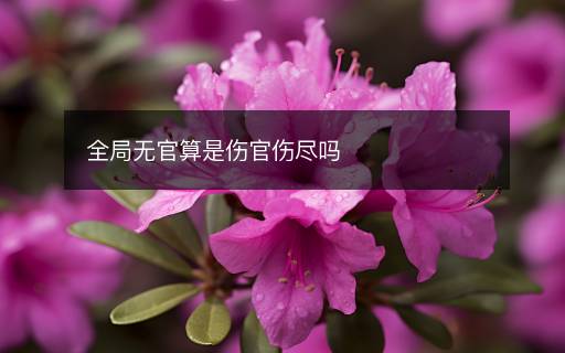 全局無(wú)官算是傷官傷盡嗎
