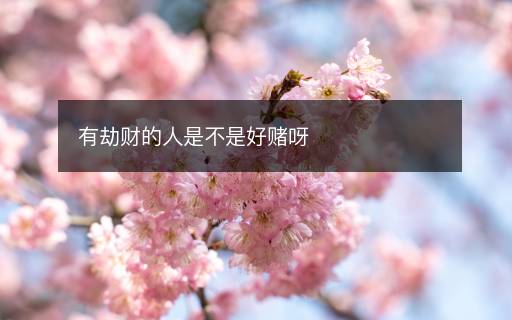 有劫財?shù)娜耸遣皇呛觅€呀