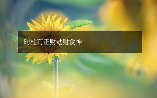 時柱有正財劫財食神