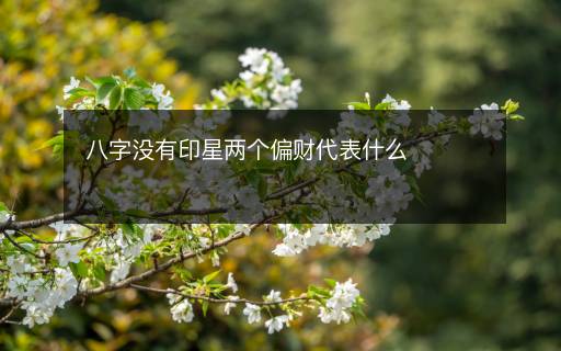 八字沒有印星兩個(gè)偏財(cái)代表什么