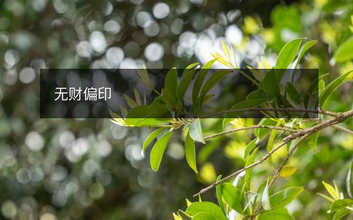 無財偏印
