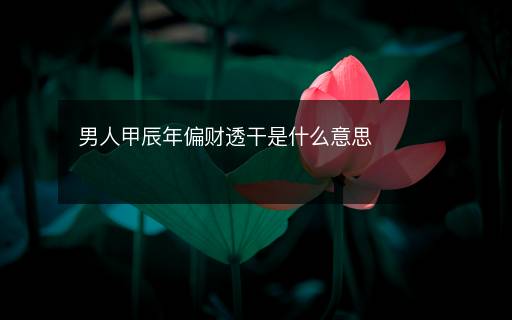 男人甲辰年偏財透干是什么意思