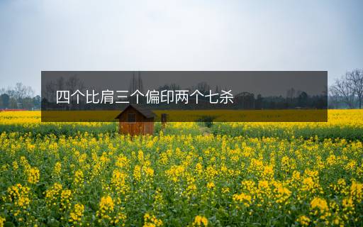 四個(gè)比肩三個(gè)偏印兩個(gè)七殺