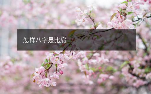 怎樣八字是比肩
