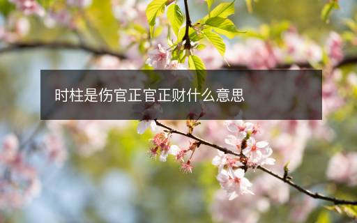 時柱是傷官正官正財什么意思