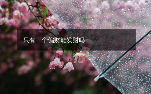 只有一個(gè)偏財(cái)能發(fā)財(cái)嗎