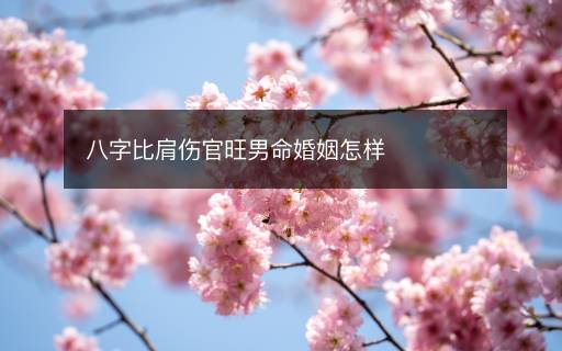 八字比肩傷官旺男命婚姻怎樣