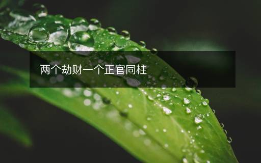 兩個(gè)劫財(cái)一個(gè)正官同柱