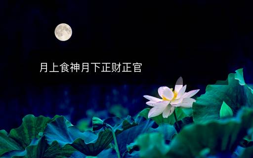 月上食神月下正財正官
