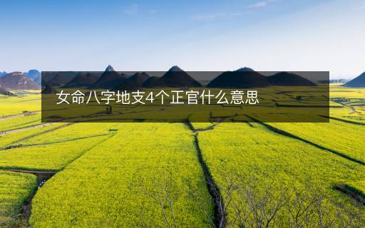 女命八字地支4個(gè)正官什么意思