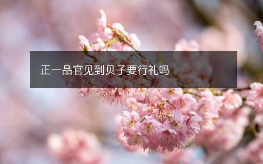 正一品官見到貝子要行禮嗎