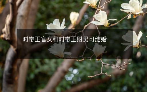 時(shí)帶正官女和時(shí)帶正財(cái)男可結(jié)婚