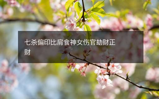 七殺偏印比肩食神女傷官劫財正財
