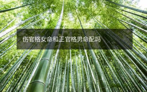 傷官格女命和正官格男命配嗎