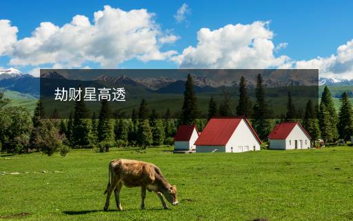 劫財(cái)星高透