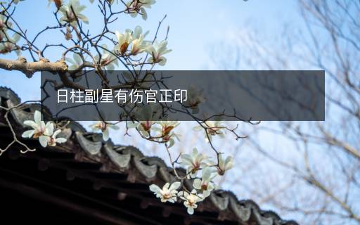 日柱副星有傷官正印